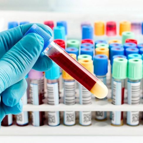 Analítica Embarazo Primer Trimestre